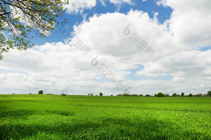 爱尔兰无边无际的郁郁葱葱的牧场和农田的风景。爱尔兰乡村，绿宝石绿的田野和草地。乡村景观.