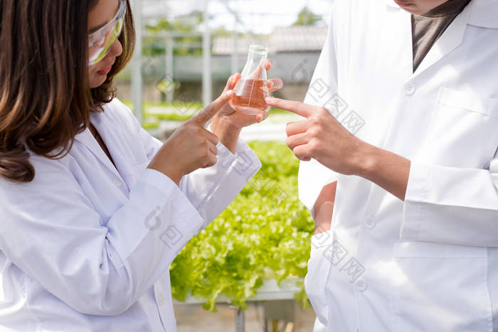 两名亚洲科学家"水栽法"测试了苗圃中使用水栽法种植的有机蔬菜的标准，并收集了这些蔬菜的化学数据.