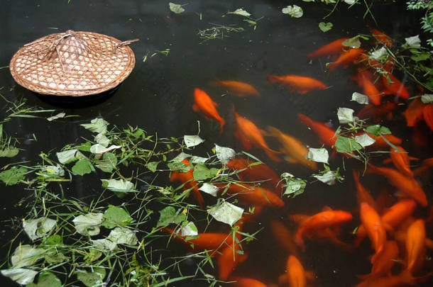 江西武元县小丽城传统鲤鱼塘。小丽城是一个以<strong>唐代</strong>建筑著称的古镇.带有橙色鲤鱼和绿叶的池塘.