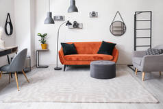 带沙发和地毯的客厅里别致的室内装饰