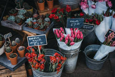 街市摊档售卖新鲜花卉及盆栽植物的选择.