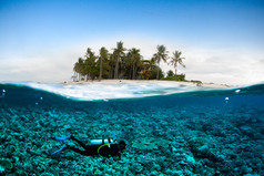 水肺潜水潜水员低于椰子 kapoposang 苏拉威西印度尼西亚水下巴厘岛龙目岛