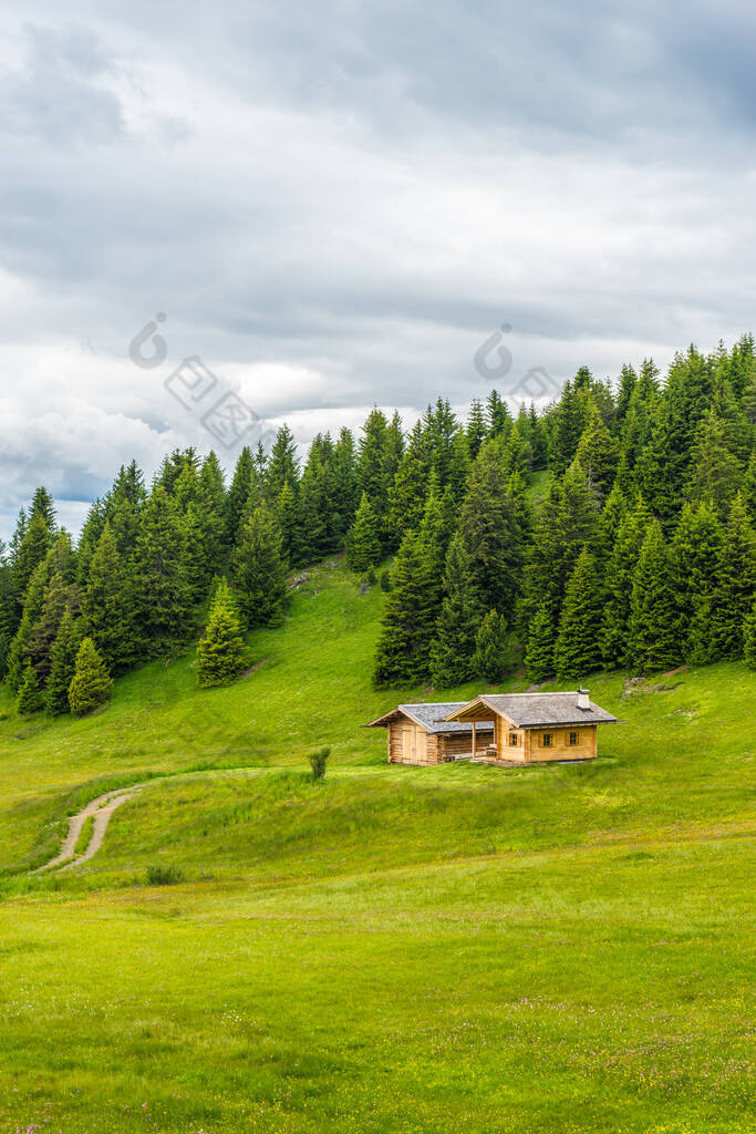 Alpe di Siusi, Seiser Alm with Sassolungo Langkofel Dolomite,一片茂密的绿地，房子奇形怪状