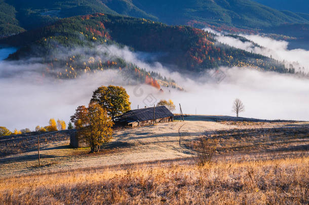 秋天风景与早晨薄雾在山里