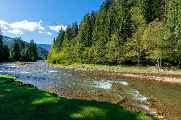 山中森林中的<strong>河流</strong>风景。春天美丽的高山风景。Synevyr国家公园是乌克兰喀尔巴阡山脉的一个受欢迎的目的地。平静的水流，岸边有<strong>石头</strong>