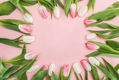 在粉红色的郁金香花的春天框架的顶部视图
