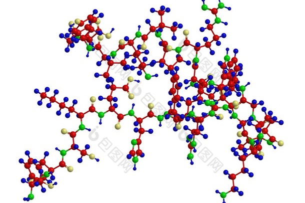 分子结构的肽的氨基酸序列