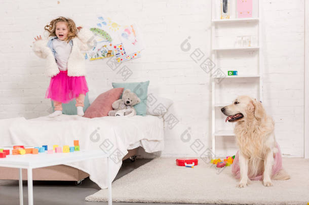 兴奋可爱的孩子跳在床上, 金毛猎犬坐在地毯上粉红色的裙子在儿童房