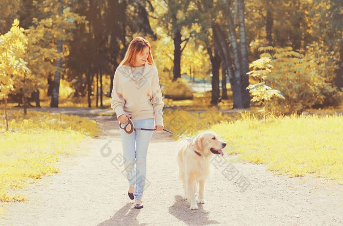 年轻女子走在她的金毛猎犬在阳光明媚的秋天的皮带