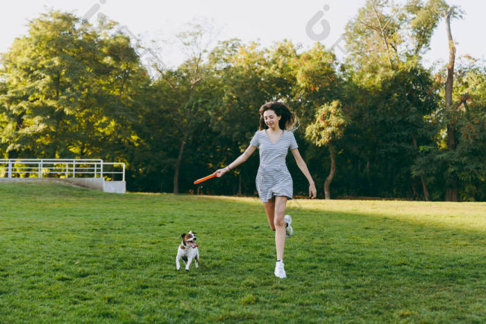 女孩投掷橙色飞行盘对小滑稽的狗捉住图片-包图网企业站