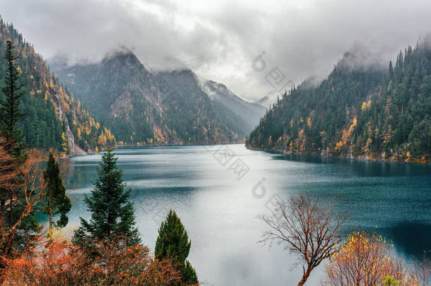 长湖之间落雾，九寨沟在<strong>树木</strong>繁茂的山