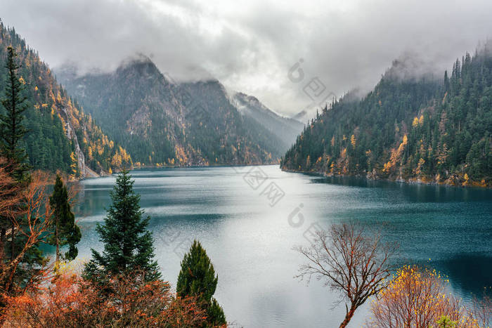 长湖之间落雾，九寨沟在树木繁茂的山