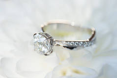 白色Gerbera上的订婚钻石戒指