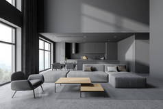有灰色墙壁、混凝土地板、灰色扶手椅、沙发和厨房背景的时尚客厅的内部。3d渲染