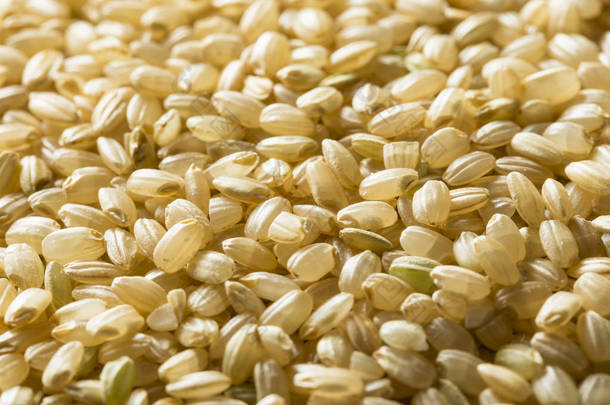 生有机短粮糙米