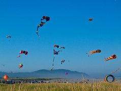 多彩的风筝在明亮的蓝天中飞翔
