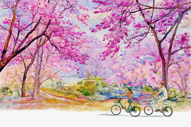 粉红红色的野生喜马拉雅樱桃, 路边在早晨与男人和女人骑<strong>自行车</strong>旅行, 天空云背景, <strong>手绘</strong>, 美丽自然春天的季节在泰国。画水彩画景观