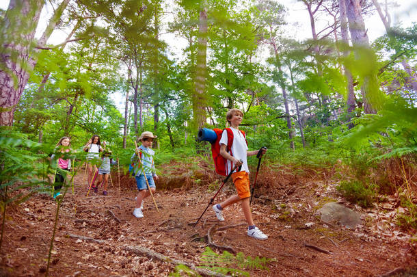 一群小<strong>孩子</strong>带着背包走在森林里徒步旅行的小路上<strong>暑假</strong>