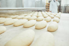 生面包是在面包店的自动设备生产线上制作的.