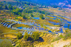 云南元阳梯田背景