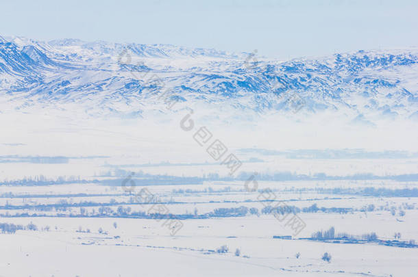 中国新疆北疆，新江市，松林冰天雪地