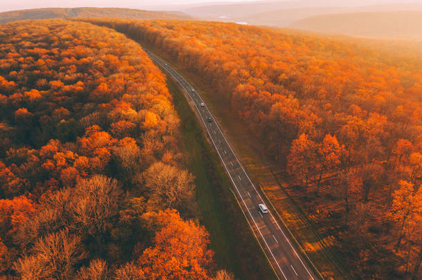 秋天的森林景观,从上方俯瞰乡村<strong>道路</strong>.色彩斑斓的自然<strong>背景</strong>。秋季森林无人驾驶飞机视图