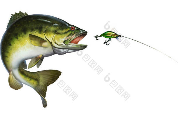 巴斯鱼跳出水面孤立现实的例证巴斯猎捕金丝