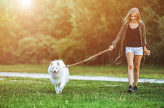 女孩遛狗在公园, 萨摩耶