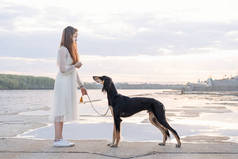 Saluki犬与年轻貌美的女子站在河边。近景肖像. 