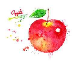 红苹果的水彩插图