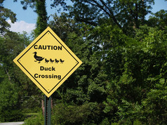 旁边一条路穿越标志的黄色菱形谨慎鸭.