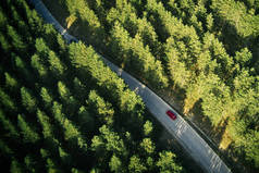 秋天日落时分，红色轿车在穿过松林的路上，空中俯瞰着