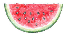 水彩画的一整套的水果: 西瓜