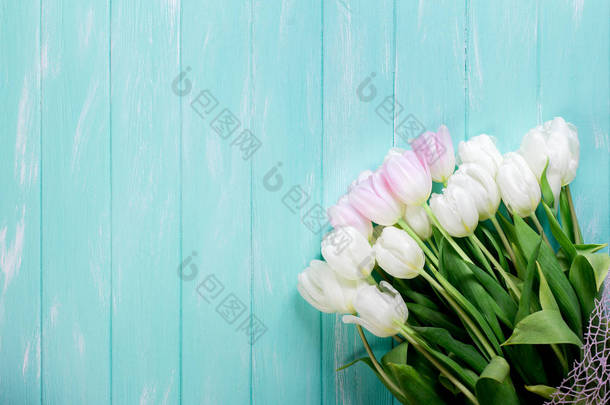 粉色和白色很嫩郁金香上绿色蓝色木背景。Copyspace