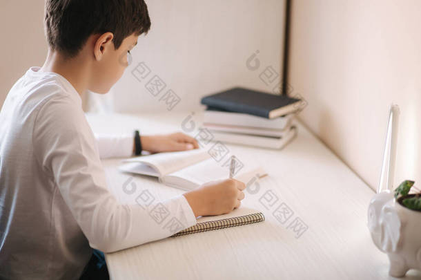 坐在书桌前的小男孩看了这<strong>本书</strong>，然后在笔记本上写了下来。检疫期间在家中的研究