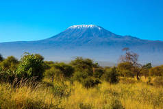  乞力马扎罗山著名的雪峰稀疏的灌木和沙漠相思树的草原。肯尼亚安博塞利公园。积极、异国情调、生态和摄影旅游的概念