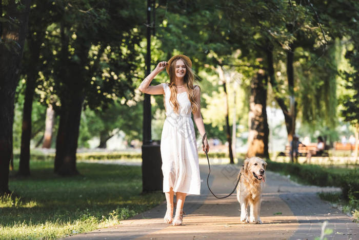 全长视图美丽的女孩在白色礼服和草帽步行与金色的猎犬在路径上，看着远