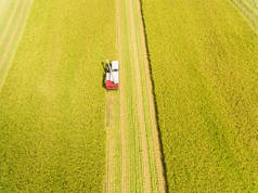 联合收割机机与水稻养殖场的鸟瞰图