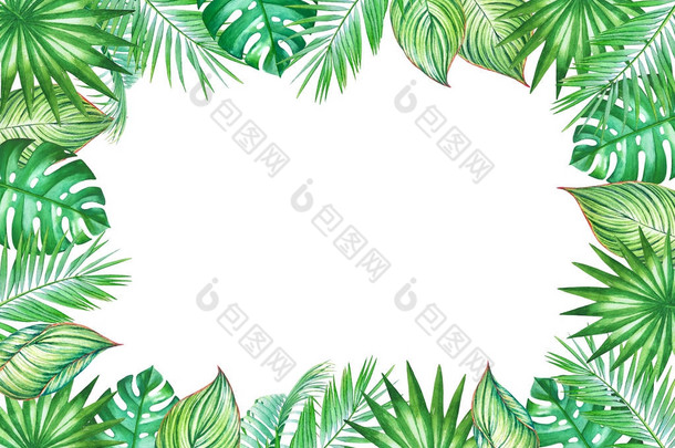水彩框架与<strong>叶子椰子</strong>棕榈树隔绝在白色背景。婚礼请柬设计插图, 带有空白文本的贺卡.
