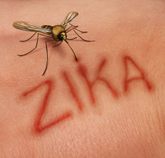 Zika 疾病概念