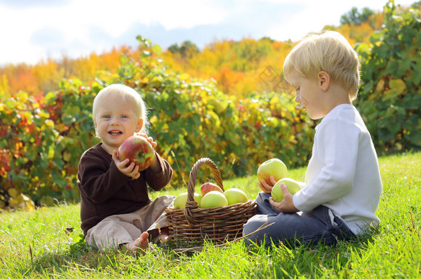 年幼的儿童在苹果果园吃水果