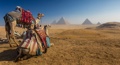 埃及。开罗-吉萨。从吉萨高原金字塔的一般视图
