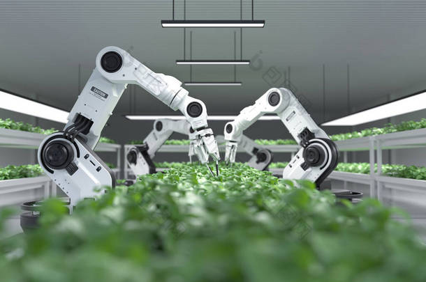 智能机器人农民的概念，机器人农民，农业技术，<strong>农场</strong>自动化。3D插图