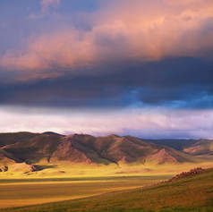 在蒙古大草原