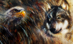 狼和鹰色彩画、 羽毛背景多色拼贴画图.