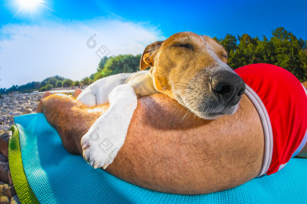 在海滩的狗和主人<strong>午睡</strong>