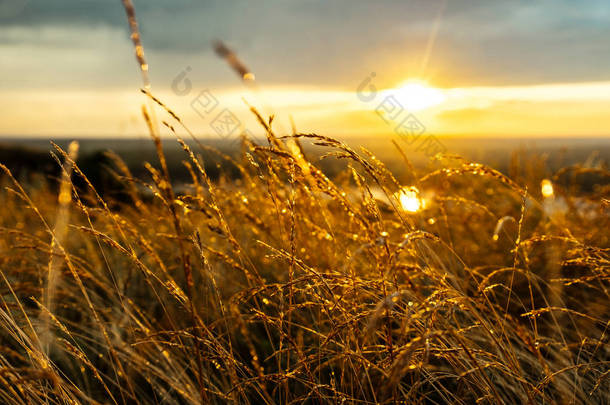 黄昏在河上, 夕阳上的光在耳朵上眩光露水