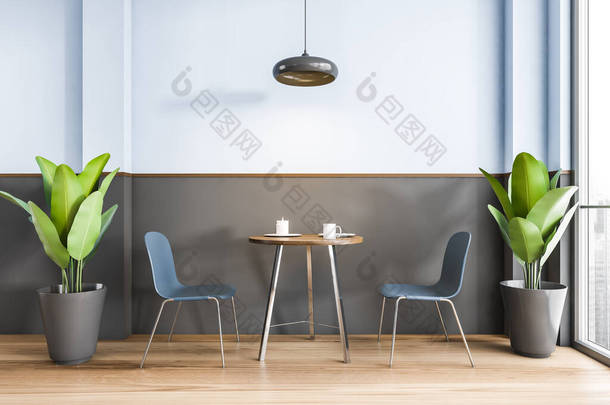有两张椅子的咖啡厅和靠窗的咖啡桌，现代简约咖啡馆的蓝色和黑色内部。房间里有两个木地板上的植物，3D上没有人