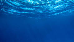 游泳鱼和阳光透过水面的水下图像令人惊叹