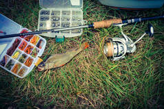 捕鱼的概念: 渔具, 钓鱼竿, 草地上的鱼